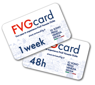 two white cards with the words fvg card on them